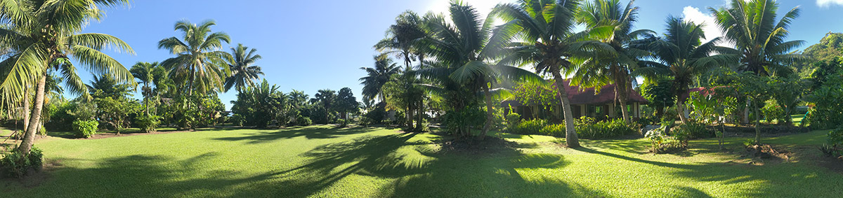 Parc tropical arboré