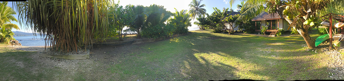 Jardin en bord de plage